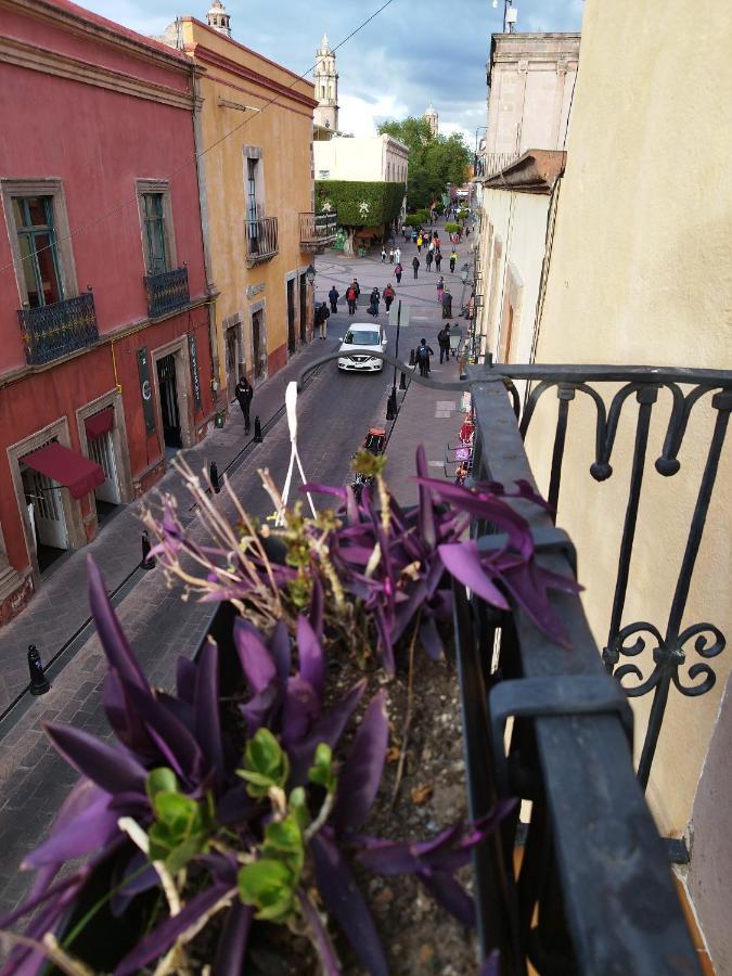 Lele Panchito Y Lavanda Juntos En El Centro Querétaro Eksteriør bilde