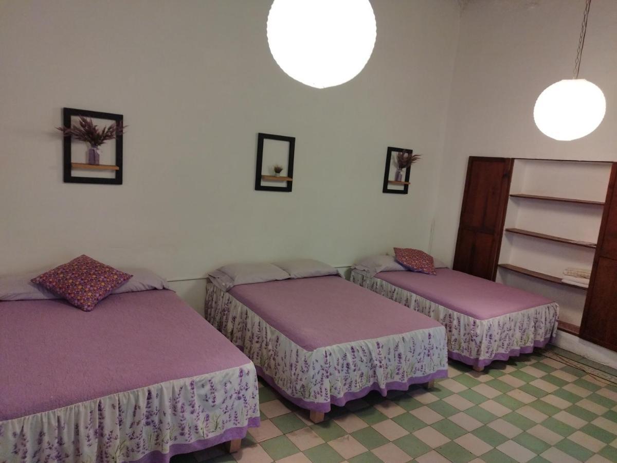 Lele Panchito Y Lavanda Juntos En El Centro Querétaro Eksteriør bilde