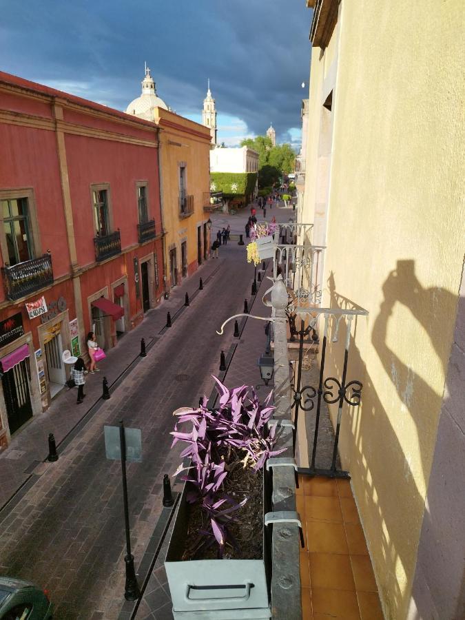 Lele Panchito Y Lavanda Juntos En El Centro Querétaro Eksteriør bilde