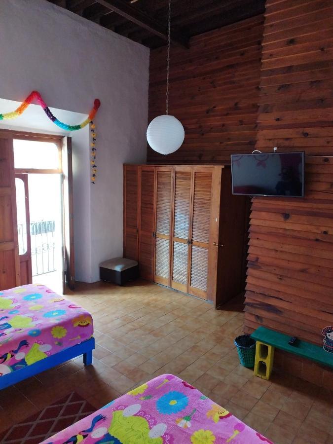 Lele Panchito Y Lavanda Juntos En El Centro Querétaro Eksteriør bilde