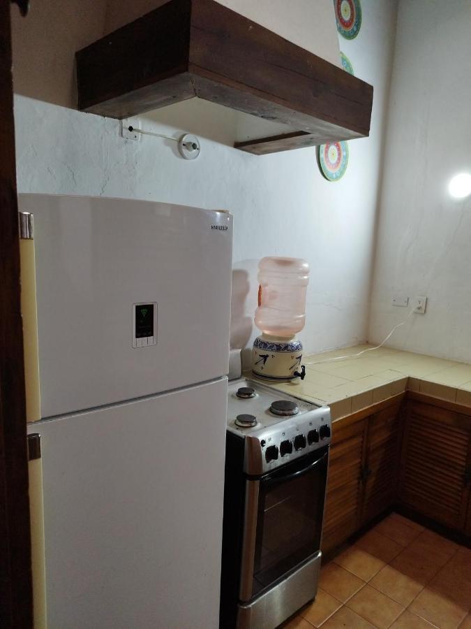 Lele Panchito Y Lavanda Juntos En El Centro Querétaro Eksteriør bilde