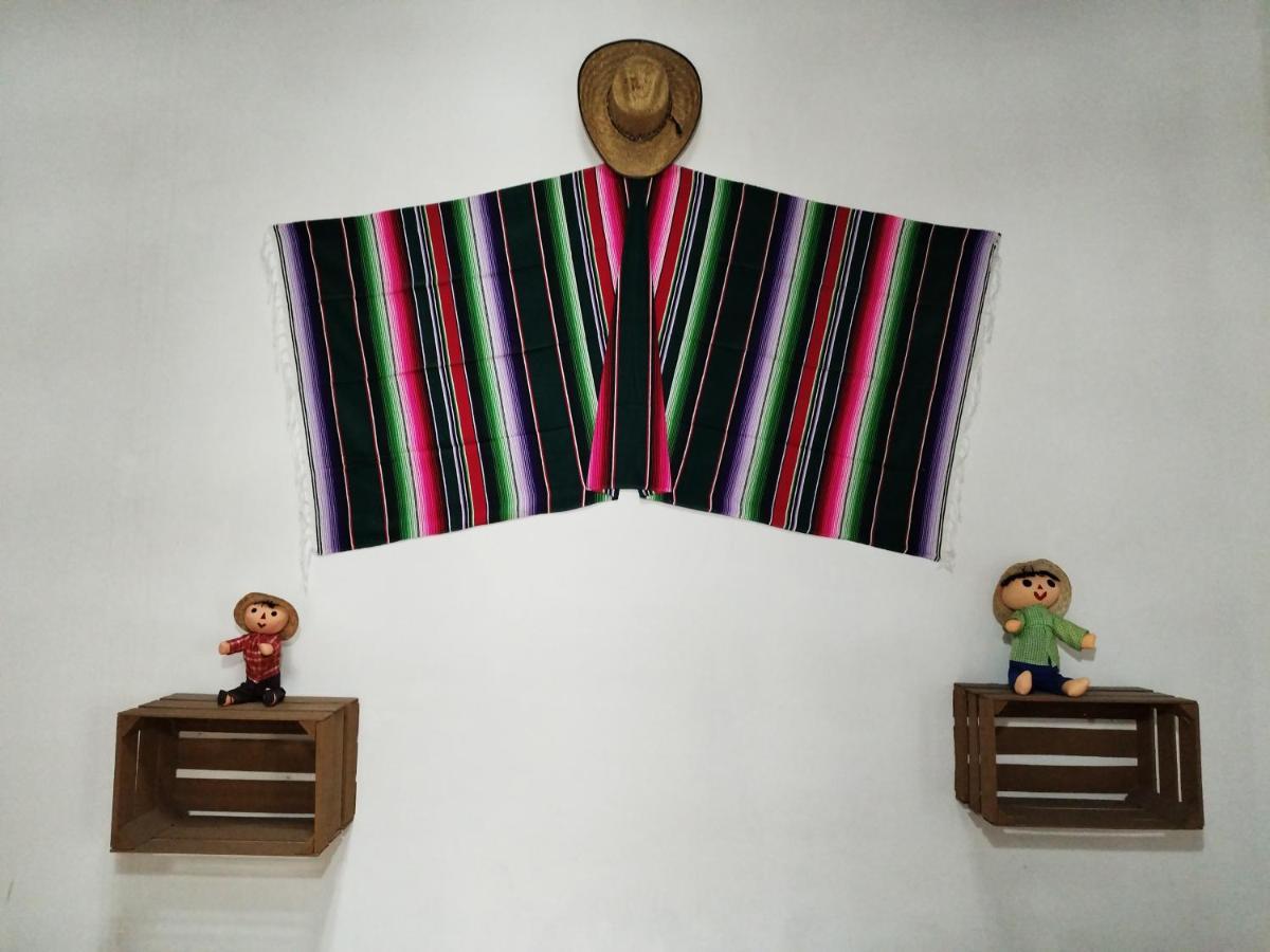 Lele Panchito Y Lavanda Juntos En El Centro Querétaro Eksteriør bilde