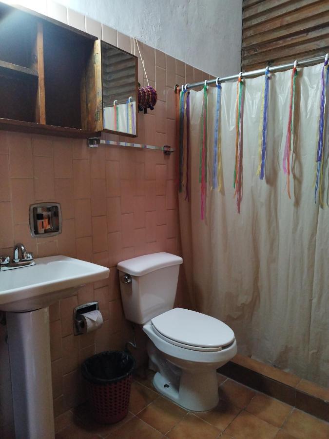 Lele Panchito Y Lavanda Juntos En El Centro Querétaro Eksteriør bilde