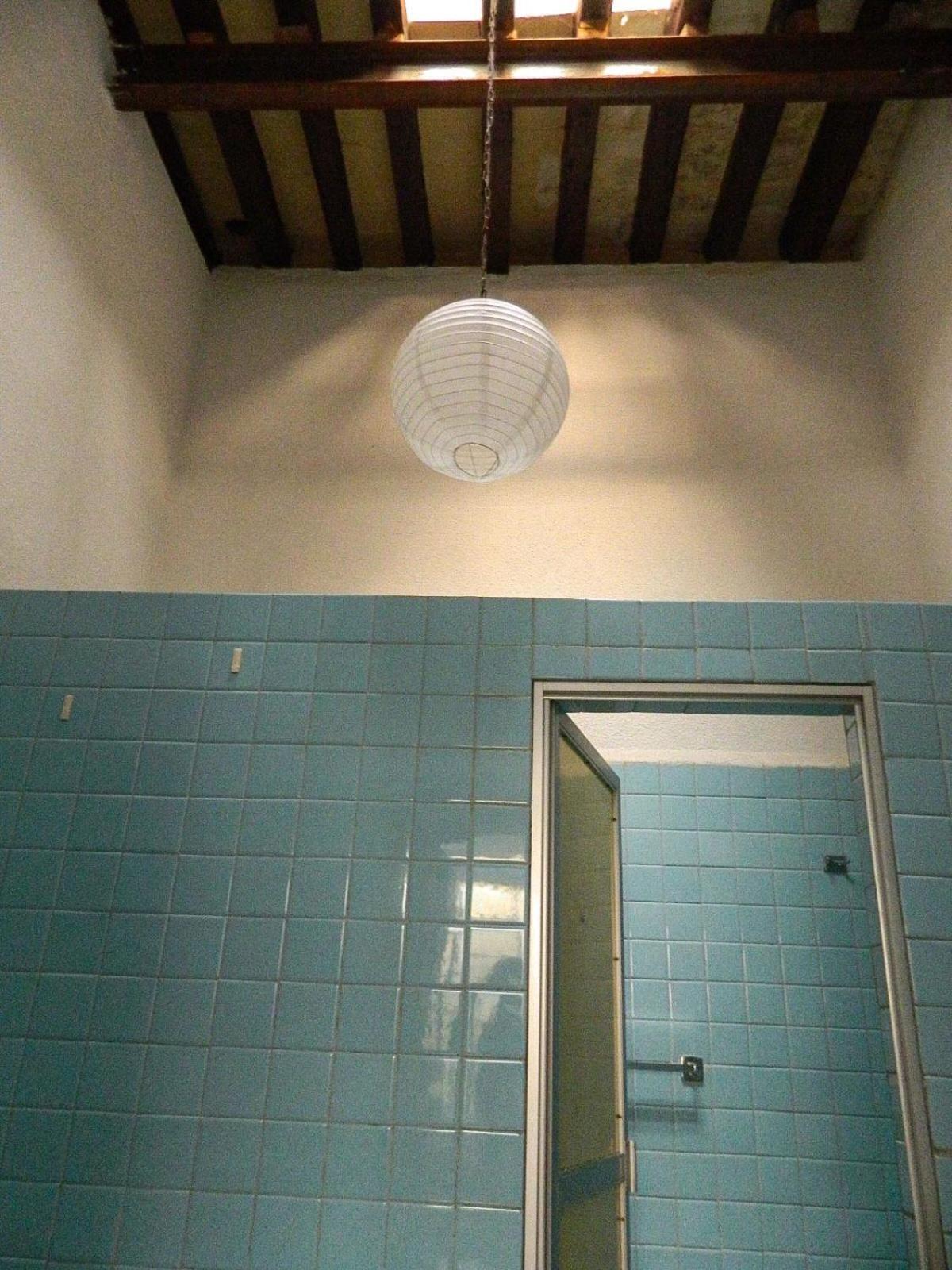 Lele Panchito Y Lavanda Juntos En El Centro Querétaro Eksteriør bilde