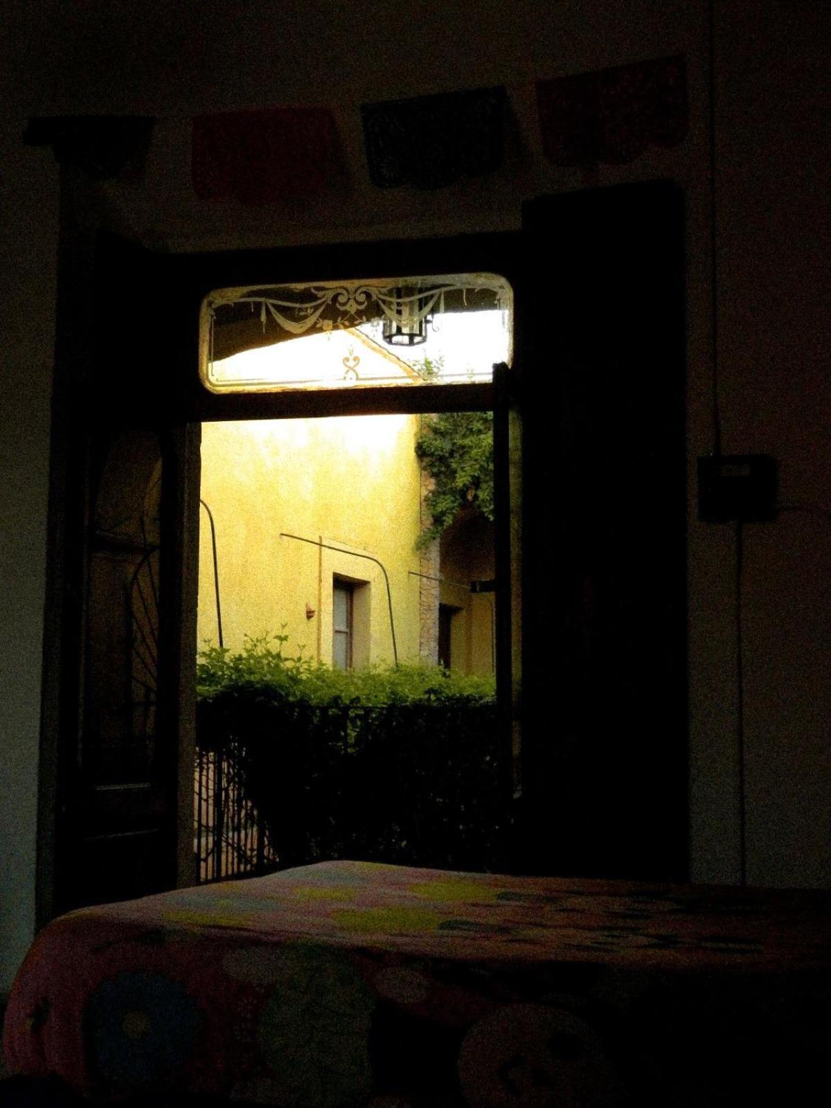 Lele Panchito Y Lavanda Juntos En El Centro Querétaro Eksteriør bilde