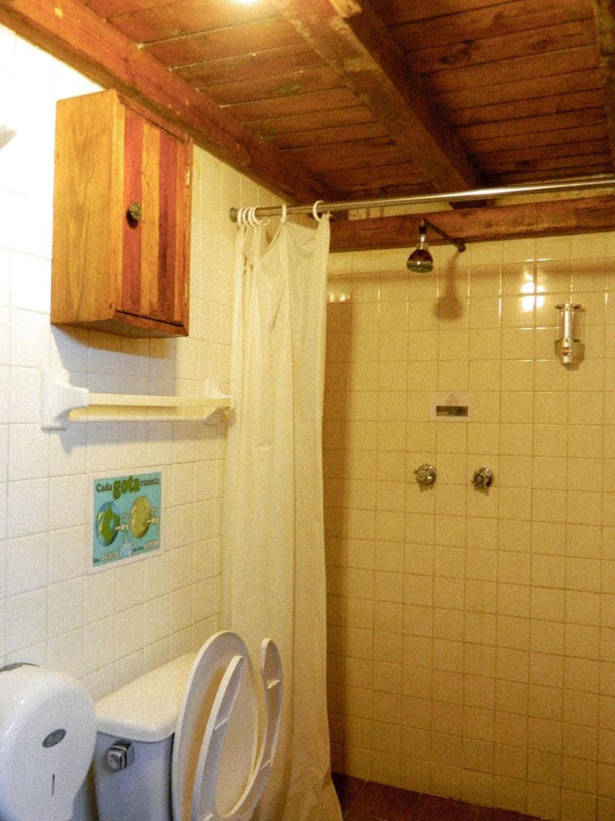 Lele Panchito Y Lavanda Juntos En El Centro Querétaro Eksteriør bilde